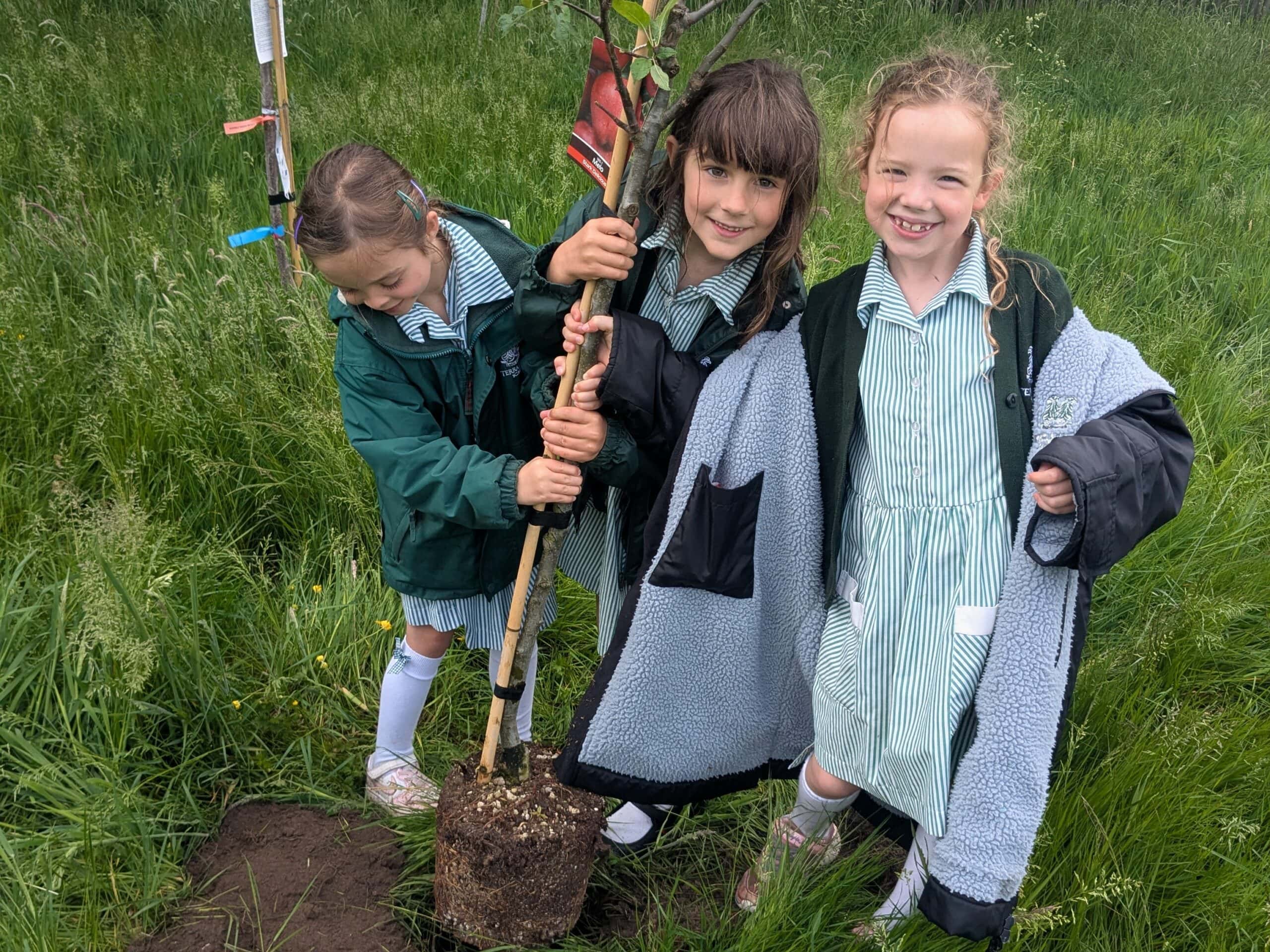 Three girls in school uniform planting a tree